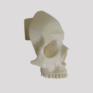 CRANIO PARA CIRURGIA NA REGIÃO DA ORBITA OCULAR, RADIPACO, COM BLOCO DE APOIO - cód. 12265